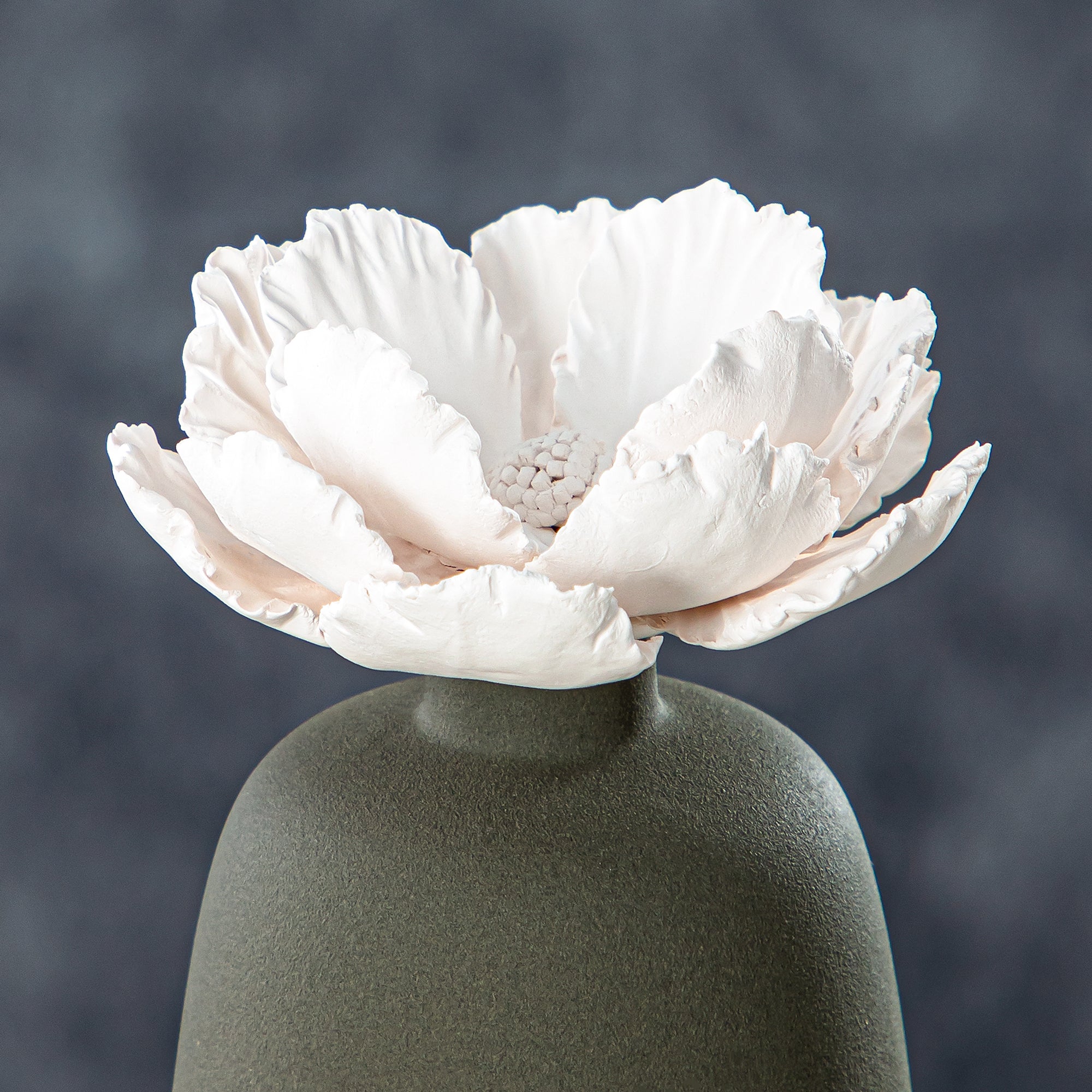 فواحة المرجان 50 مل بعطر الفاوانيا غابة النيل - KDTD789GR