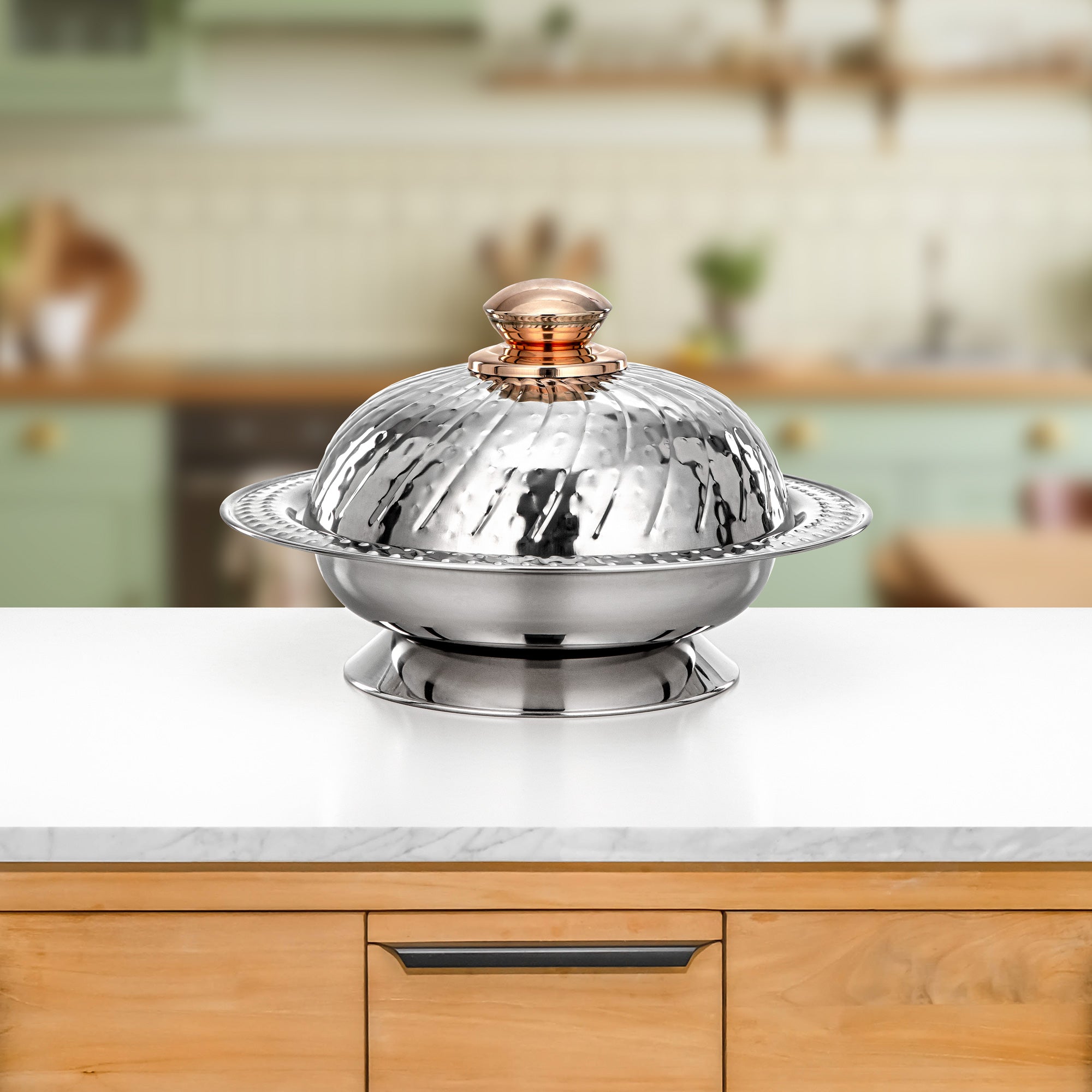 طبق تقديم المرجان مع غطاء 20 سم فضي