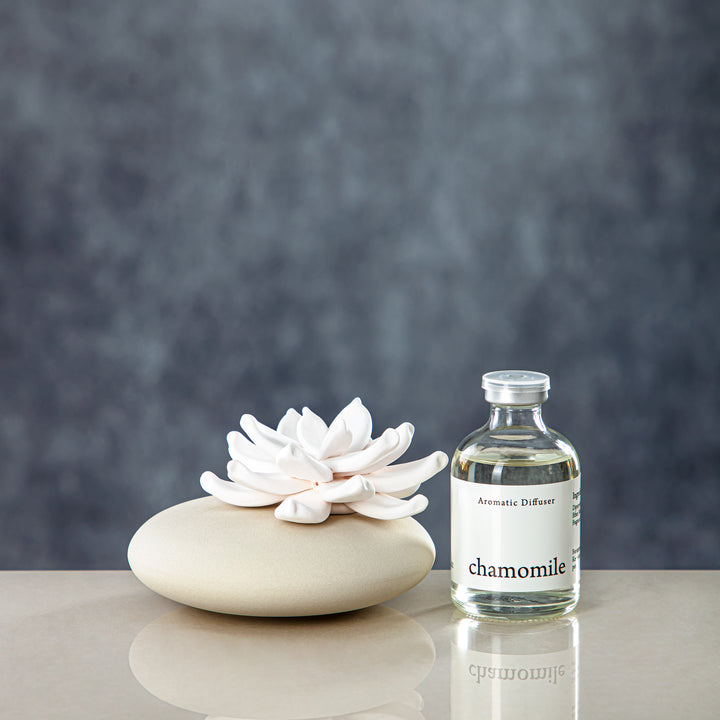 Almarjan 50 ML Cactus Diffuser Chamomile - KDTD642CR